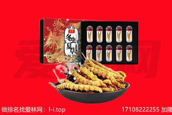 焦作市孟州回收虫草.jpg